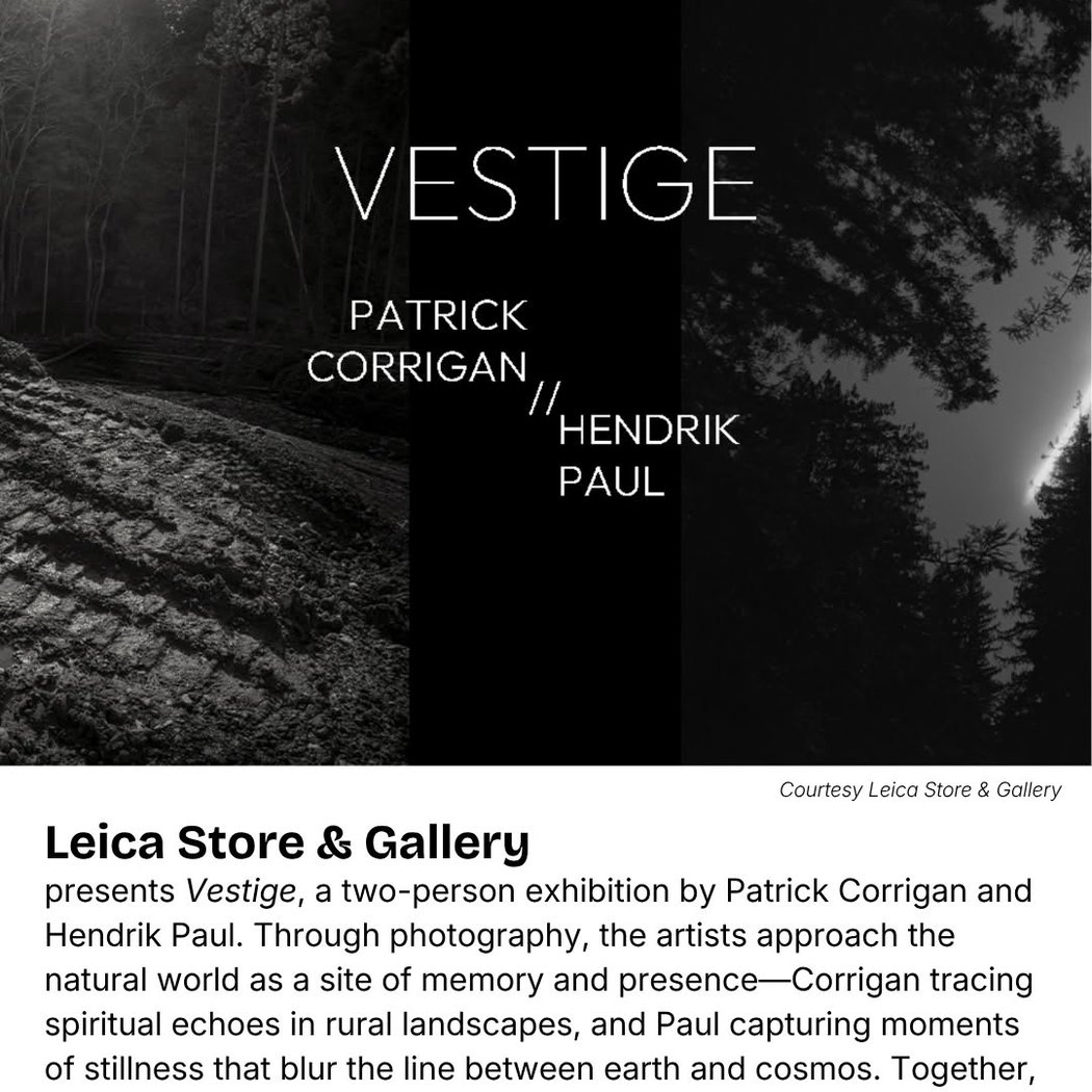 Vestige 1