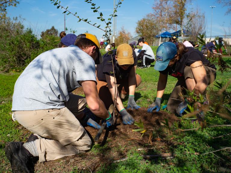 Irby Park Native Garden Volunteer Day 1
