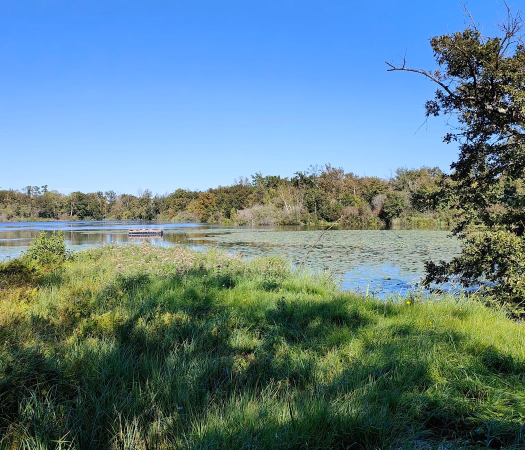 Marais de Fontenay 3