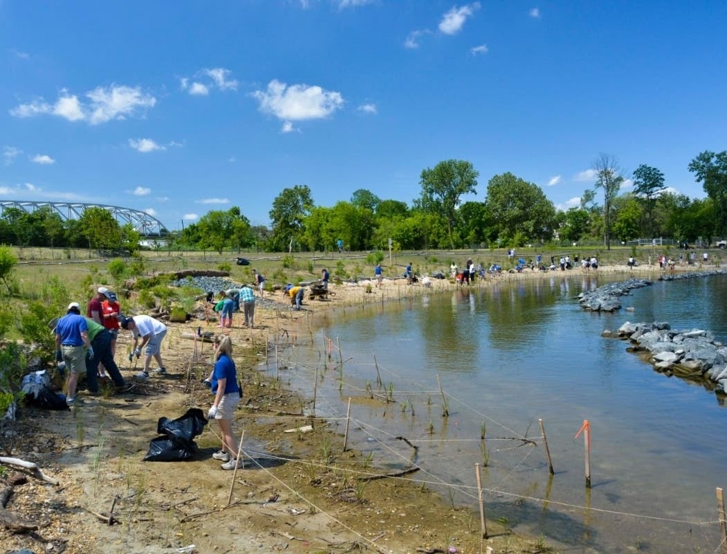Community Shoreline Clean-Up 2