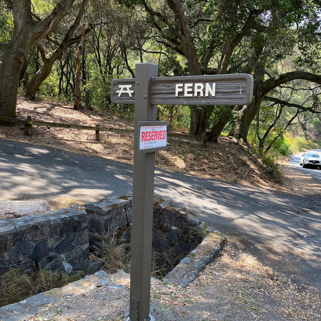Fern Picnic Area 1