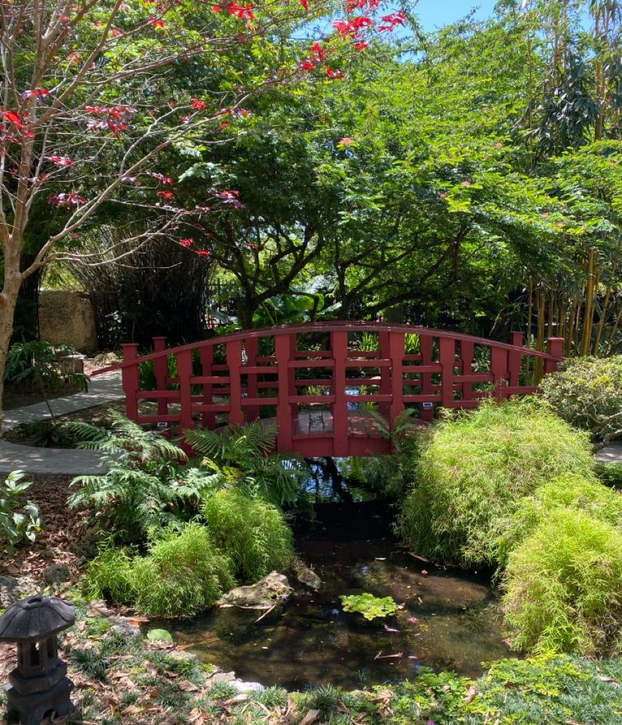 Miami Beach Botanical Garden 3