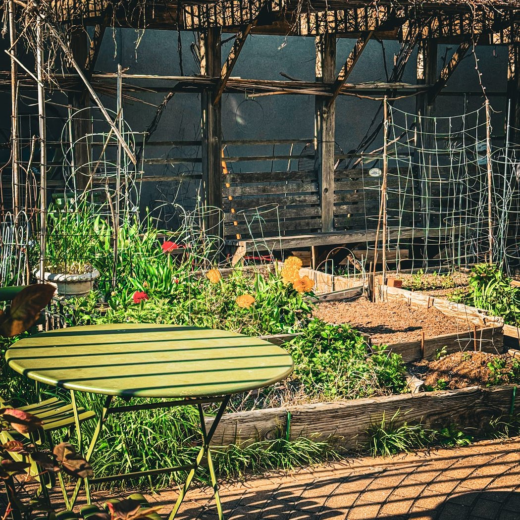Brooklyn Bears/Carlton Avenue Garden 1
