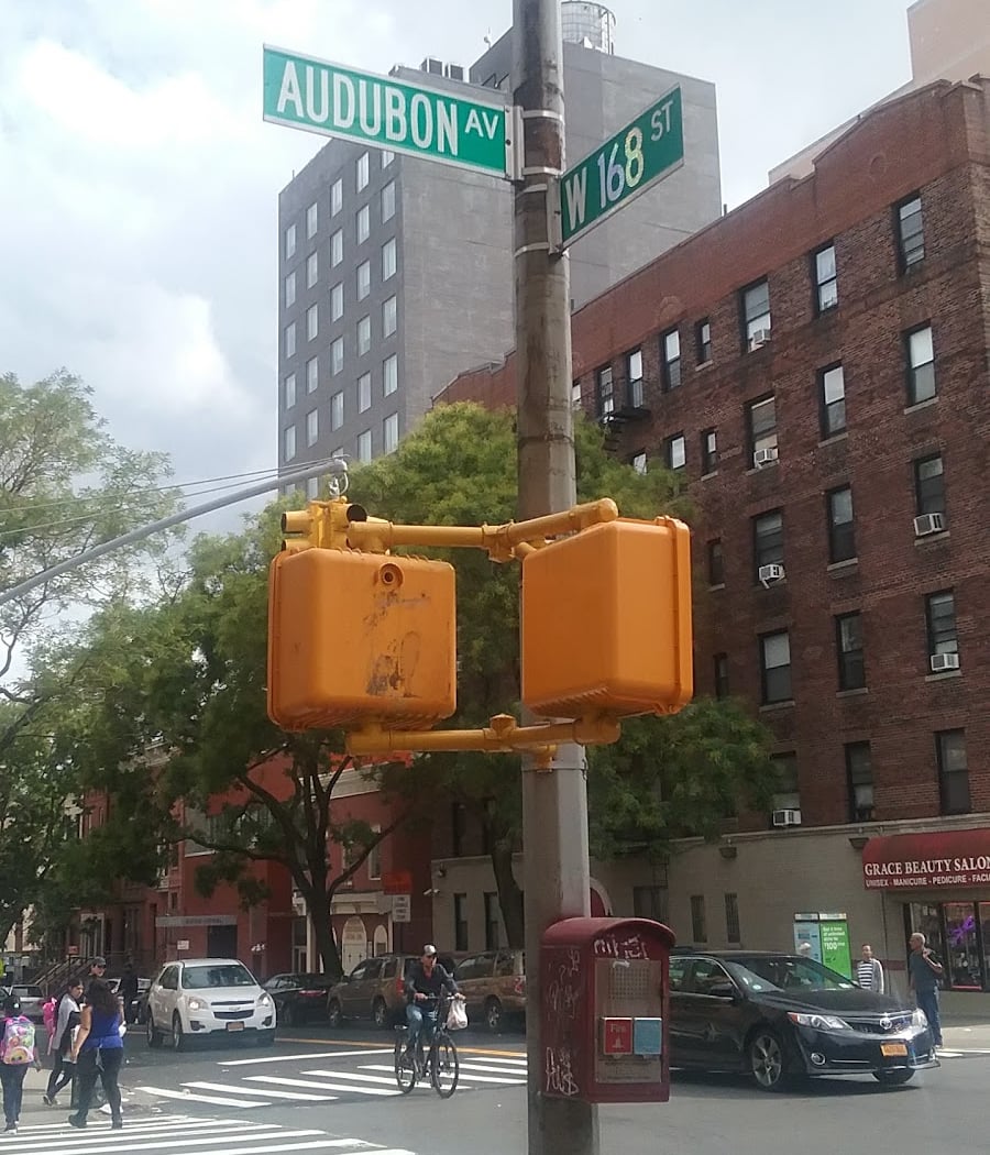 P.S. 128 Audubon 2