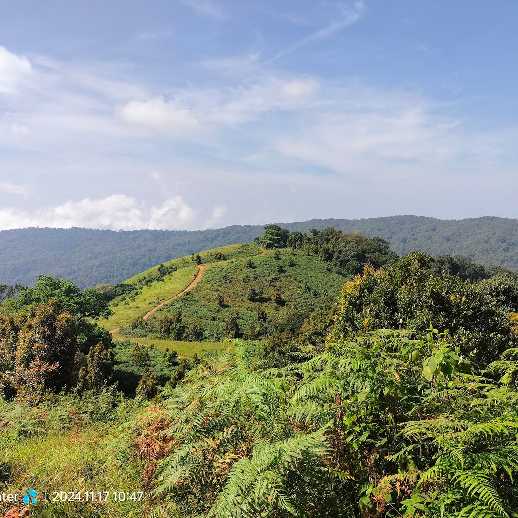 Gangadikallu Gudda Peak Viewpoint 3