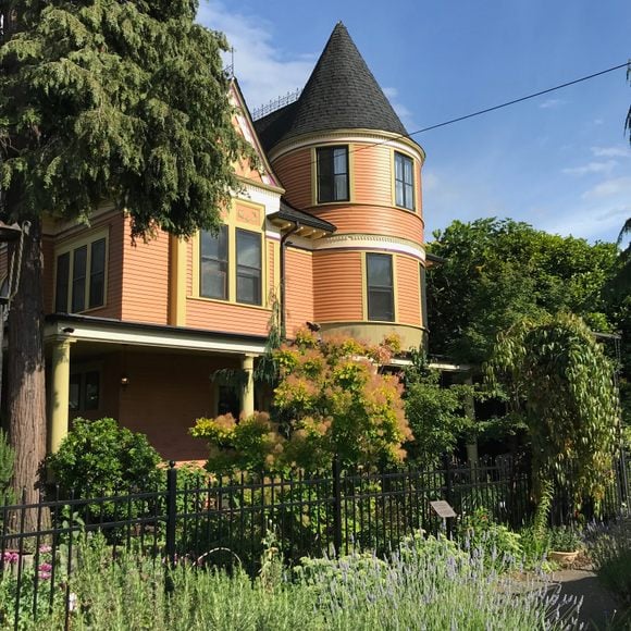 Georgetown Garden Walk 2