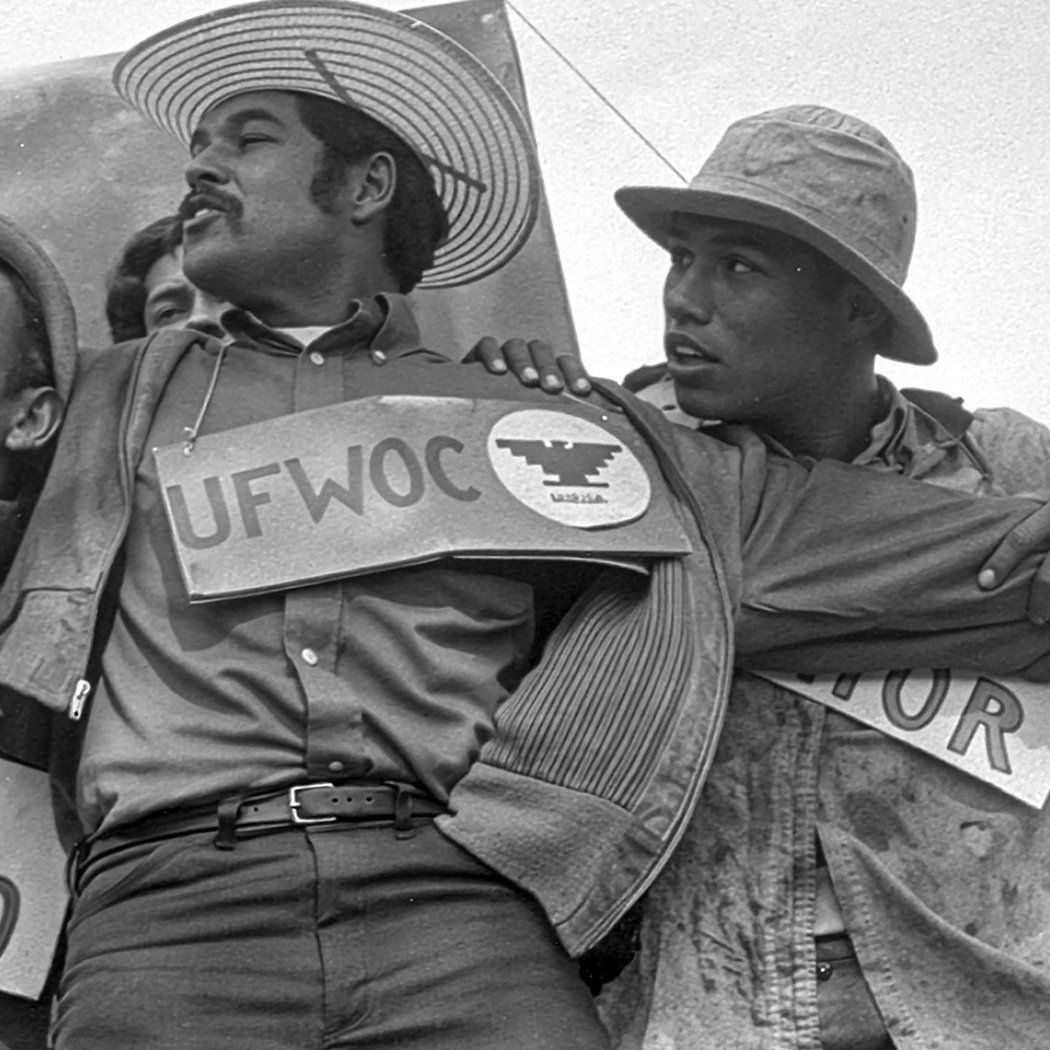 American Pachuco: The Legend of Luis Valdez 2