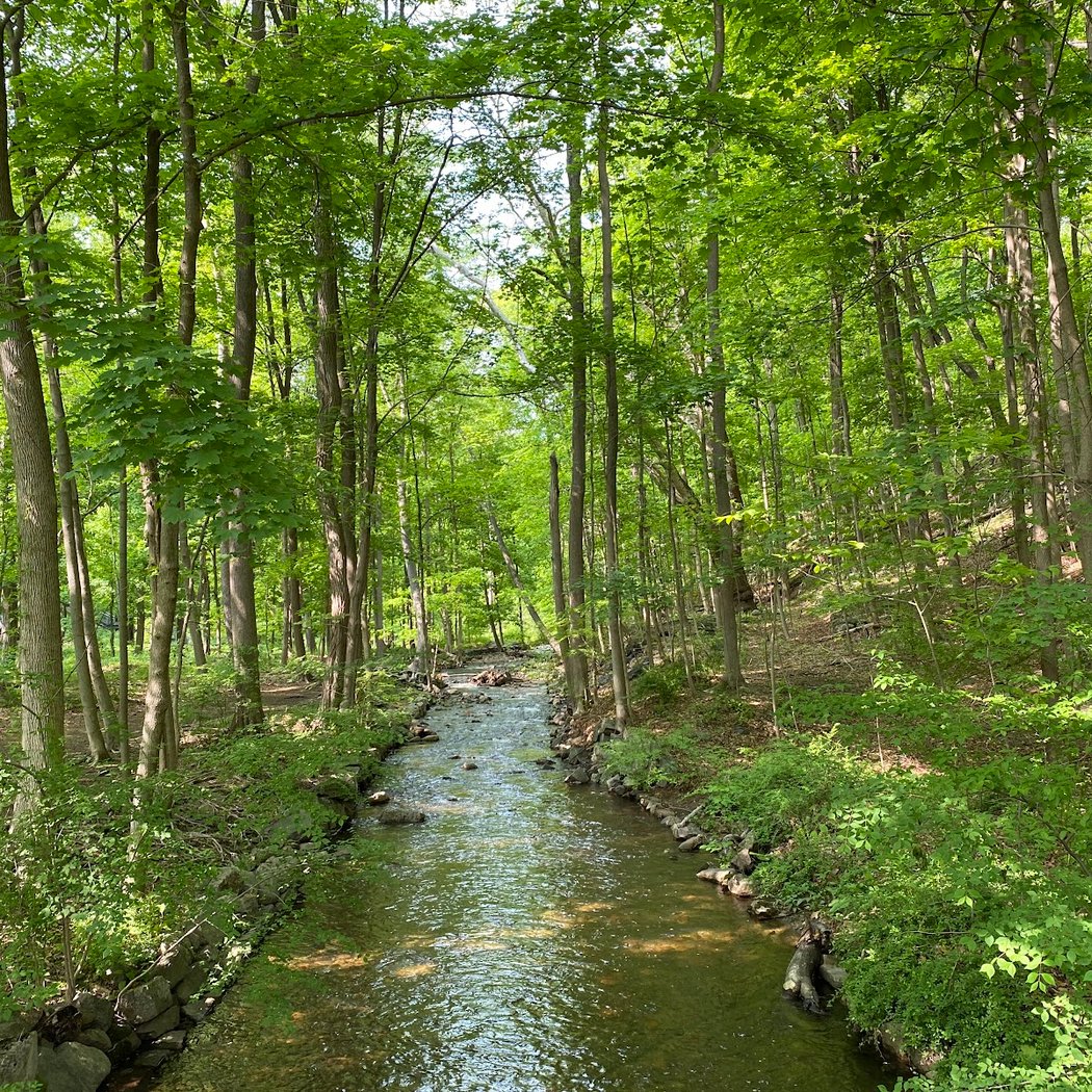 Guided Bird Walk 3