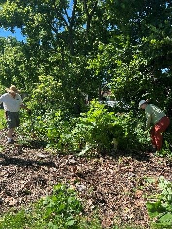 Landscape Workday: Akenside & Longcommon Triangle 3