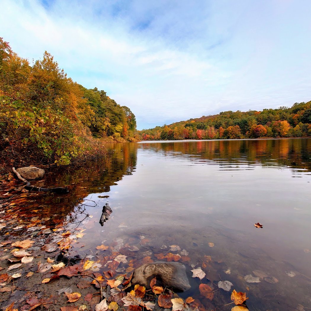 Lake Mohegan 1