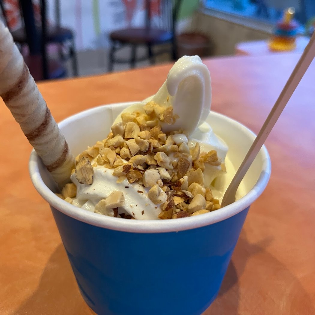 Yogofina Frozen Yogurt 1