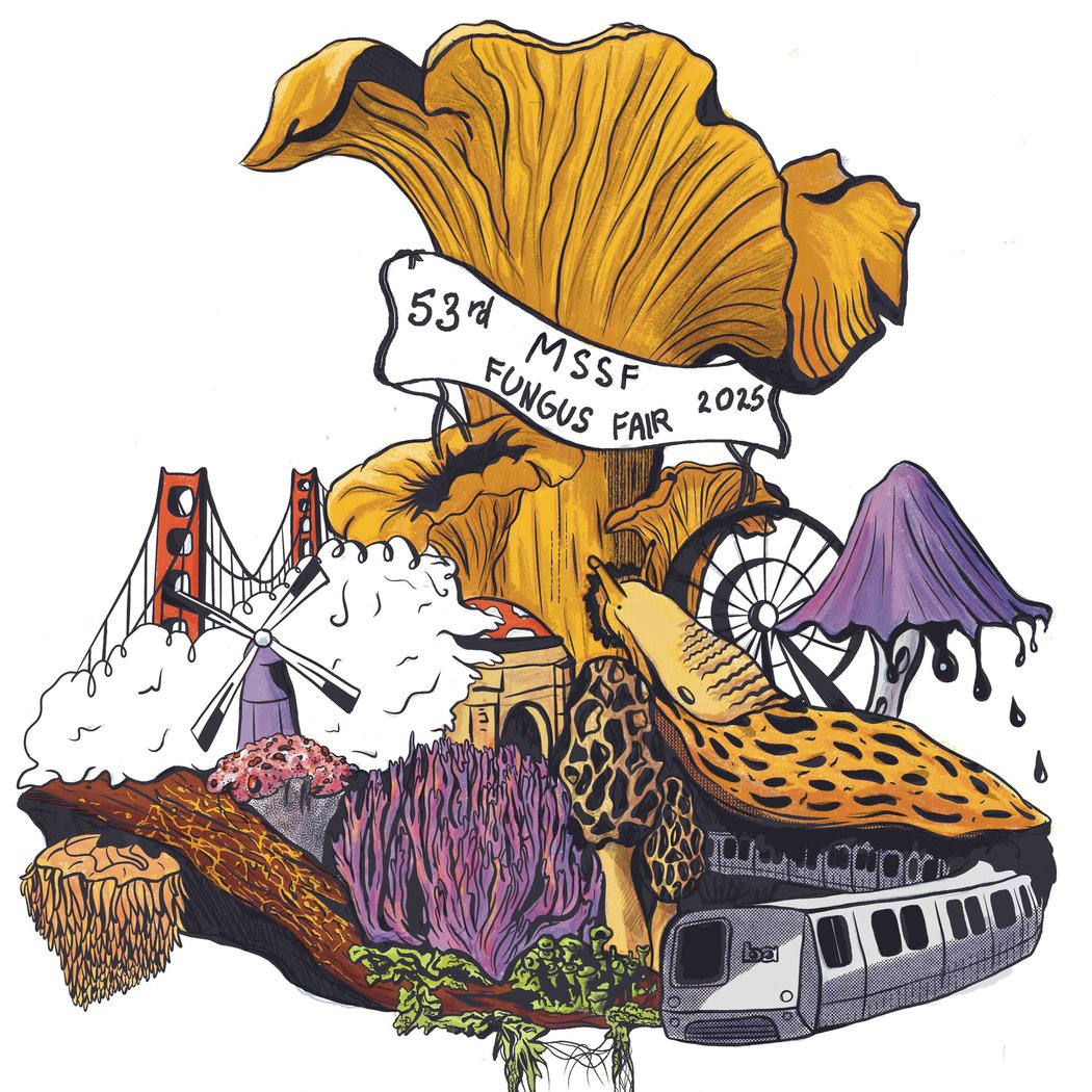The Mycological Society of San Francisco Fungus Fair 1