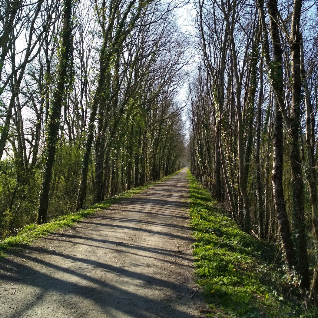 Départ Voie Verte Parthenay Bressuire 1