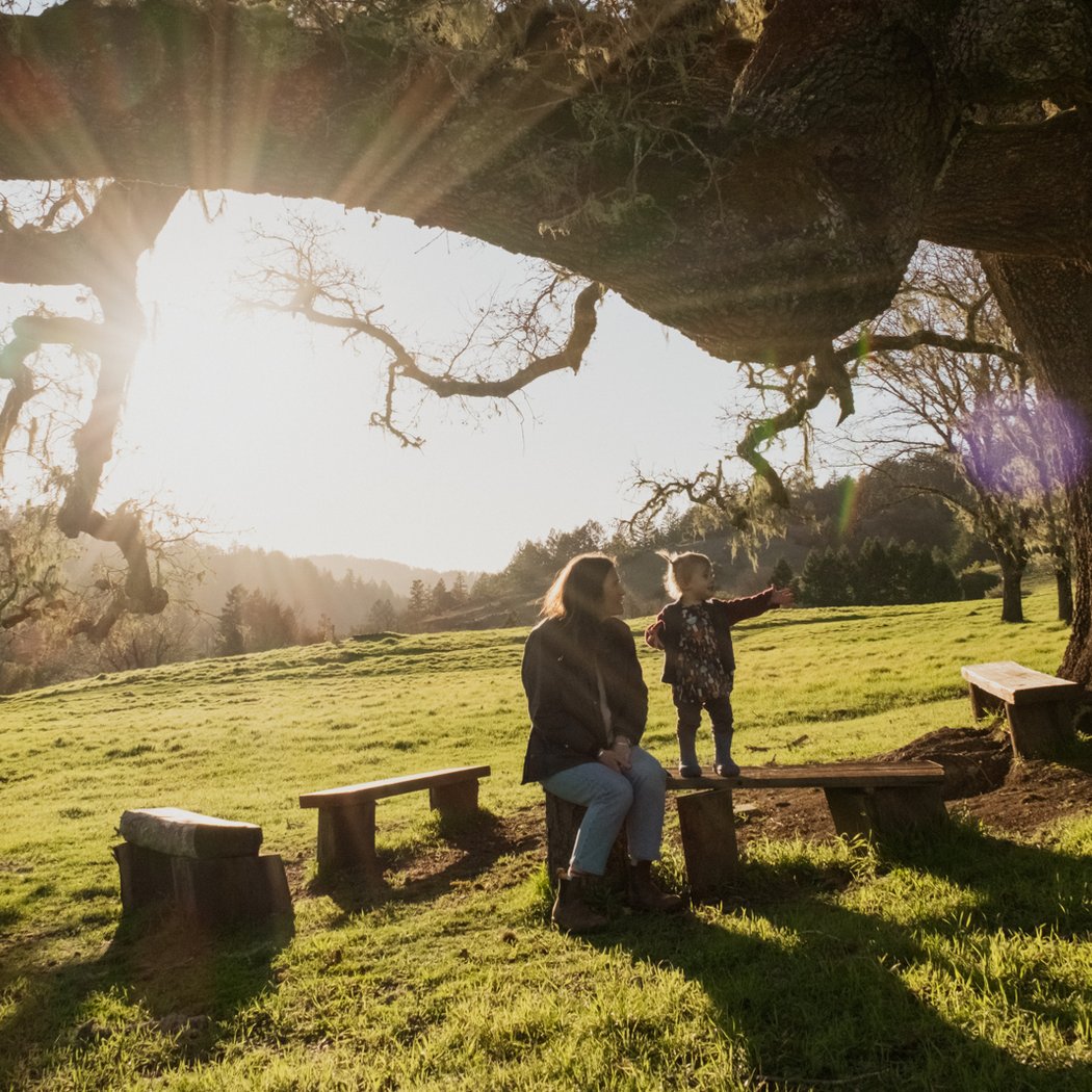 San Geronimo Commons 1