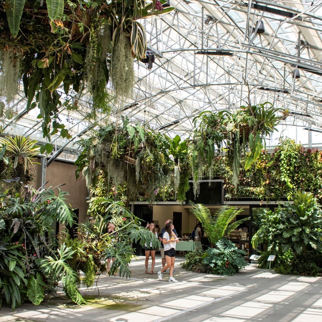 San Diego Botanic Garden 2