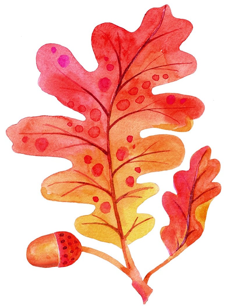 Fall Colors Watercolor Workshop With Sally-Ann Langley 1