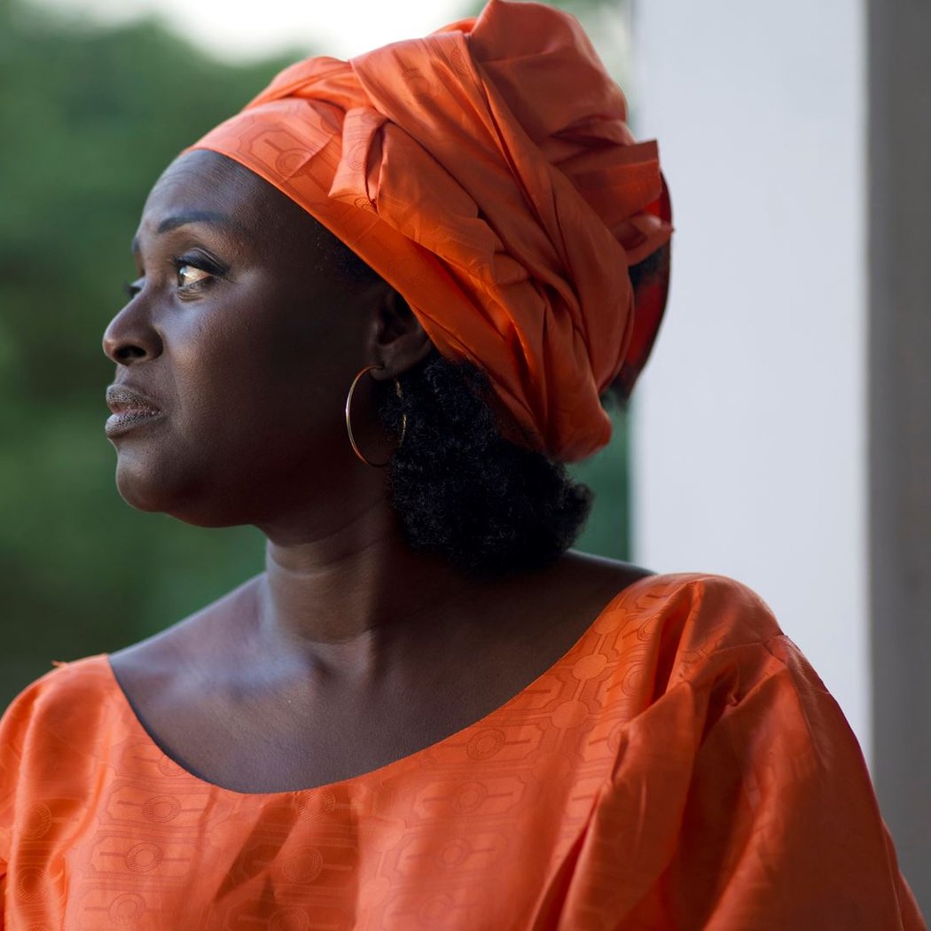 Film at The Africa Center - So Long a Letter 1