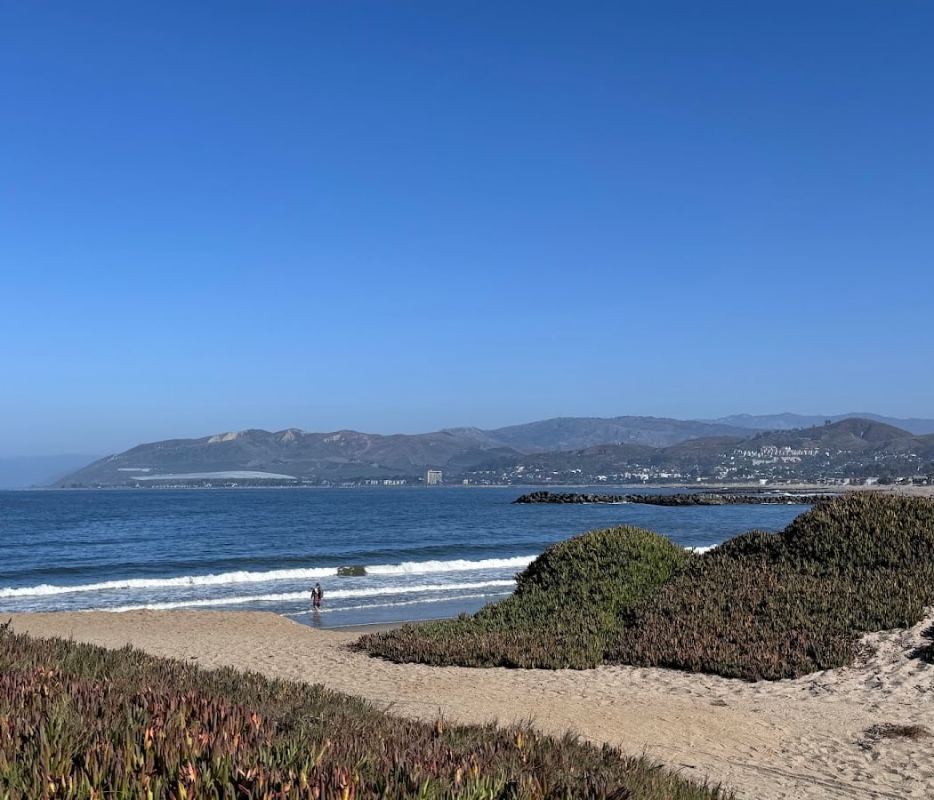 Marina Park Beach Cleanup