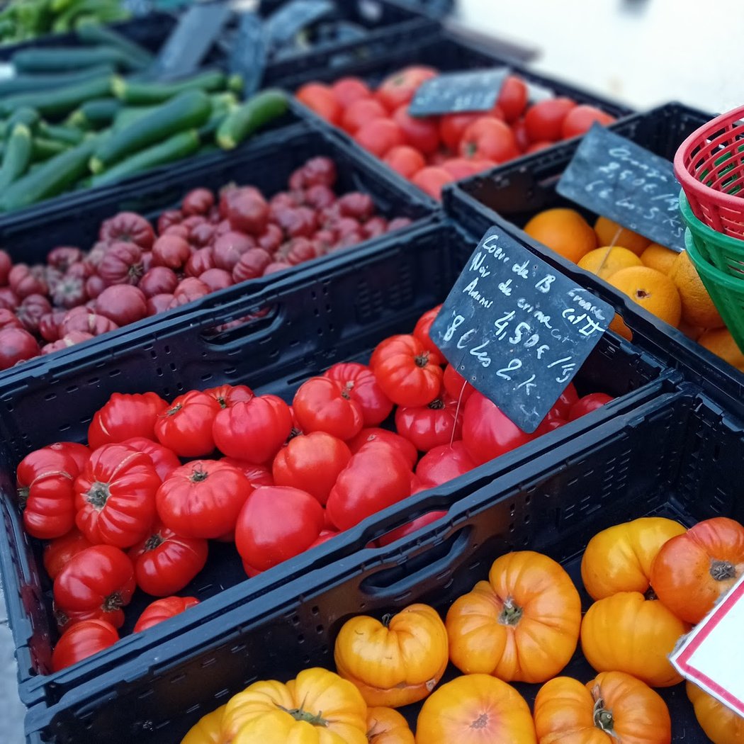 Marché à GELOS 1