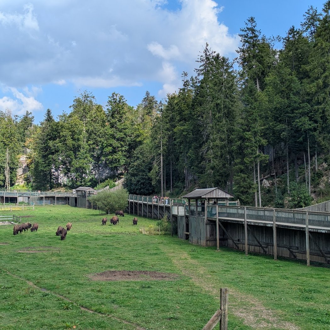Juraparc 3