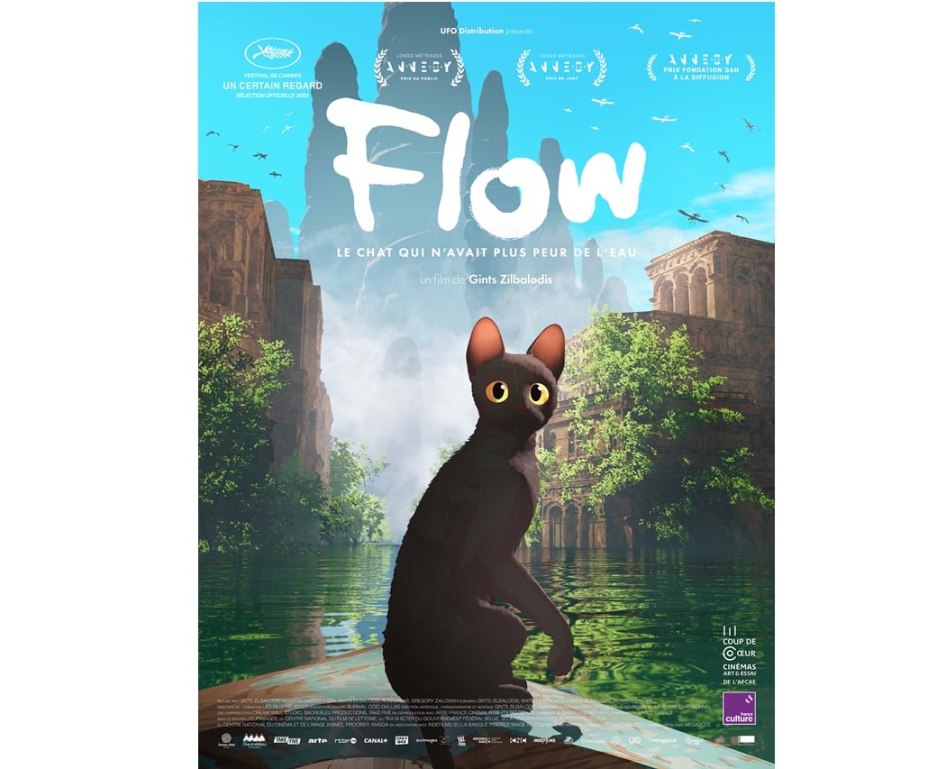 Flow, le chat qui n'avait plus peur de l'eau 1