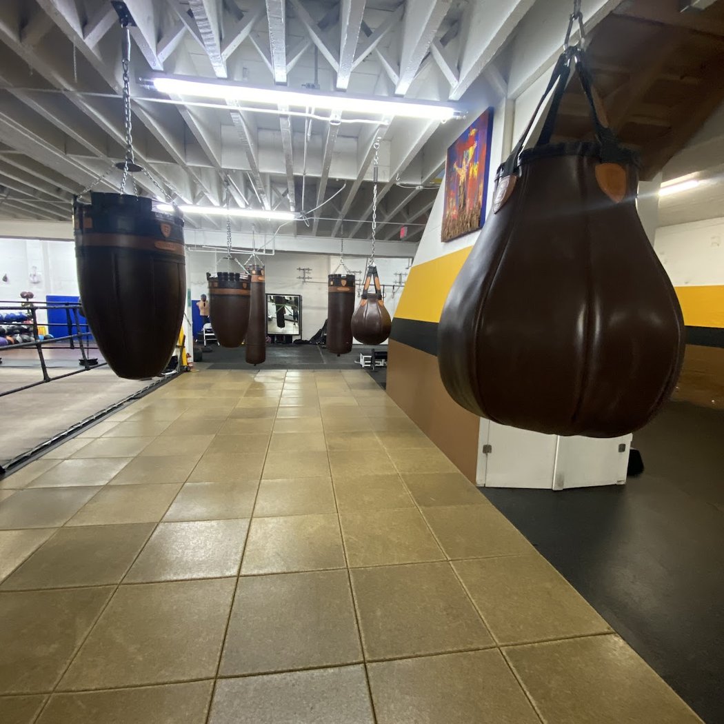 Solis Boxing 3