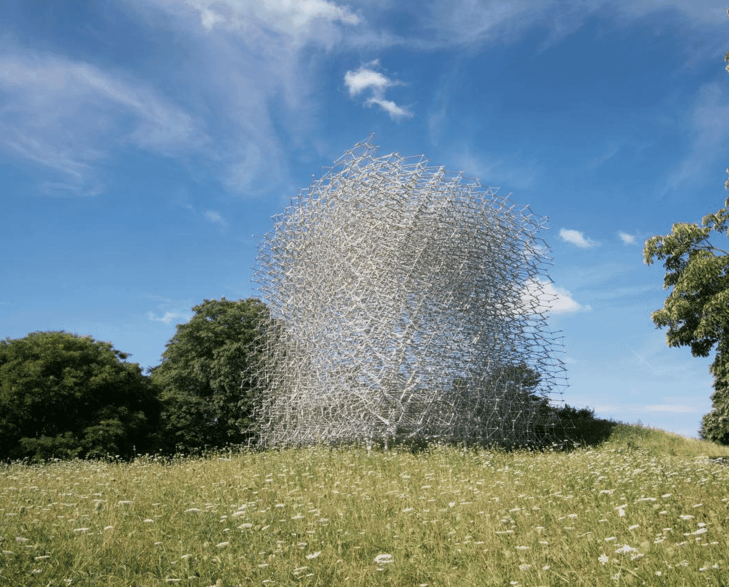 The Hive 4