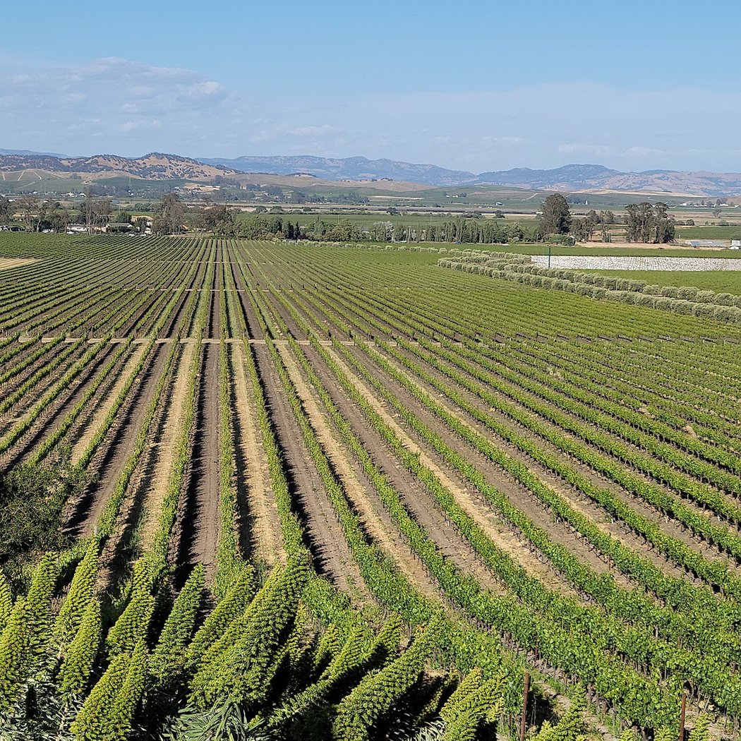 Pour + Explore: Sparkling Wines 3