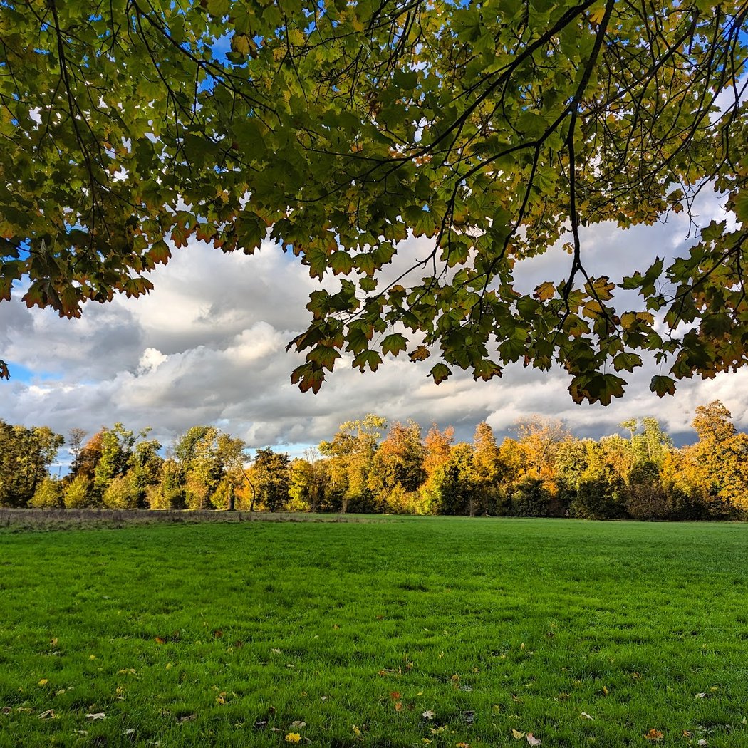 Parc de Noisiel 3