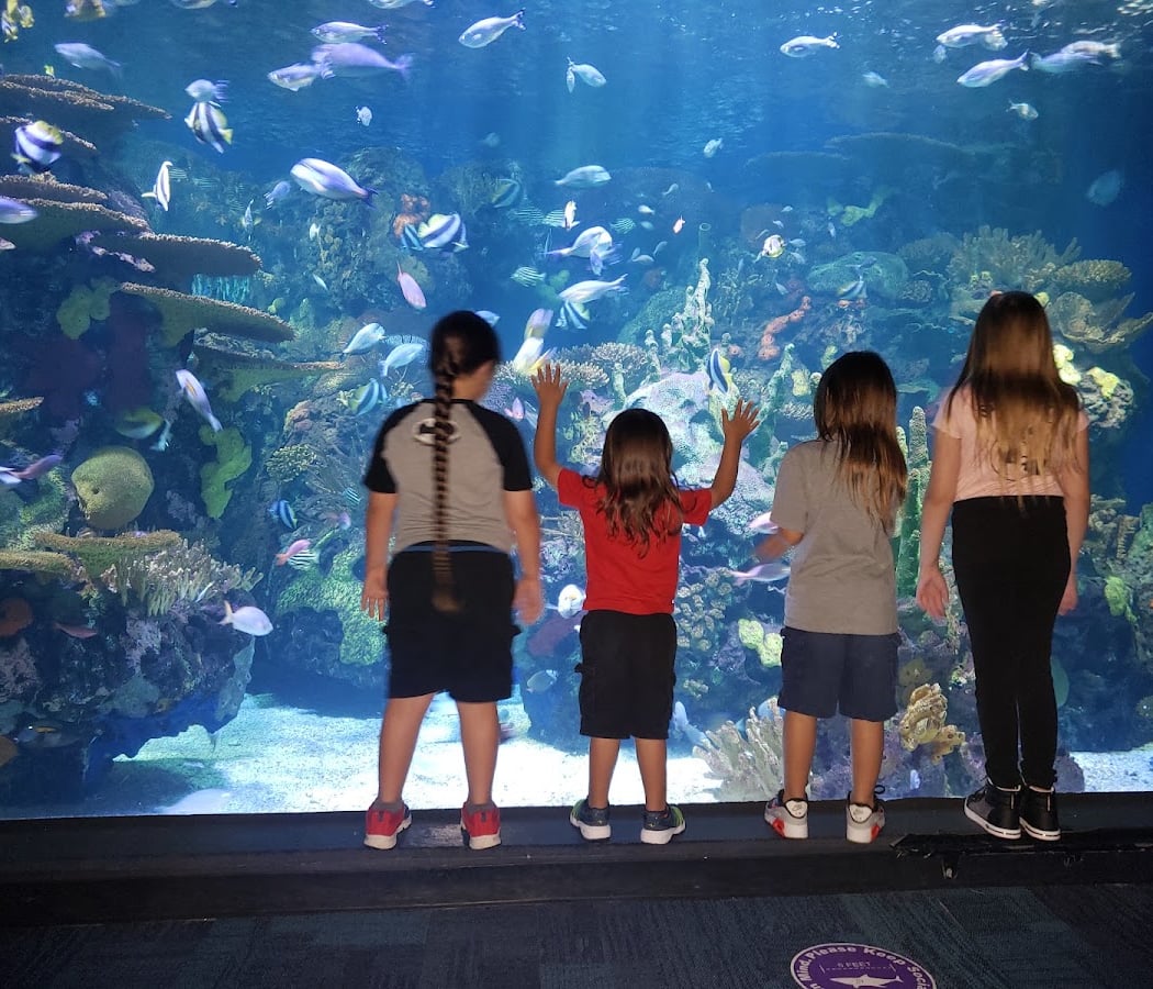 Ripley's Aquarium of Myrtle Beach 2