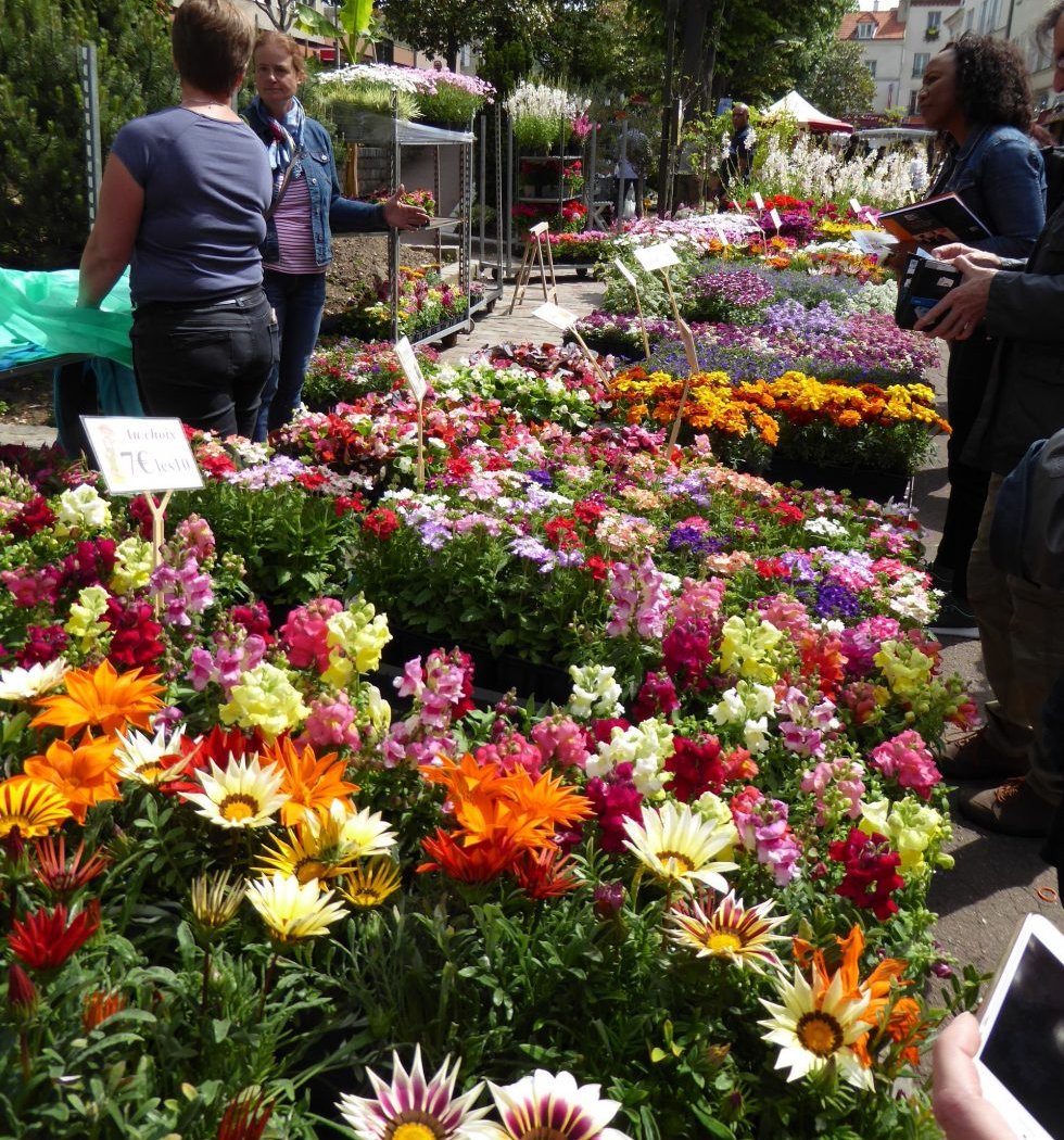 Marché aux Fleurs de Noisy le Grand 1