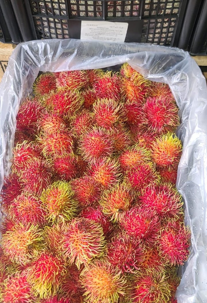 LIC FRUIT STAND 5