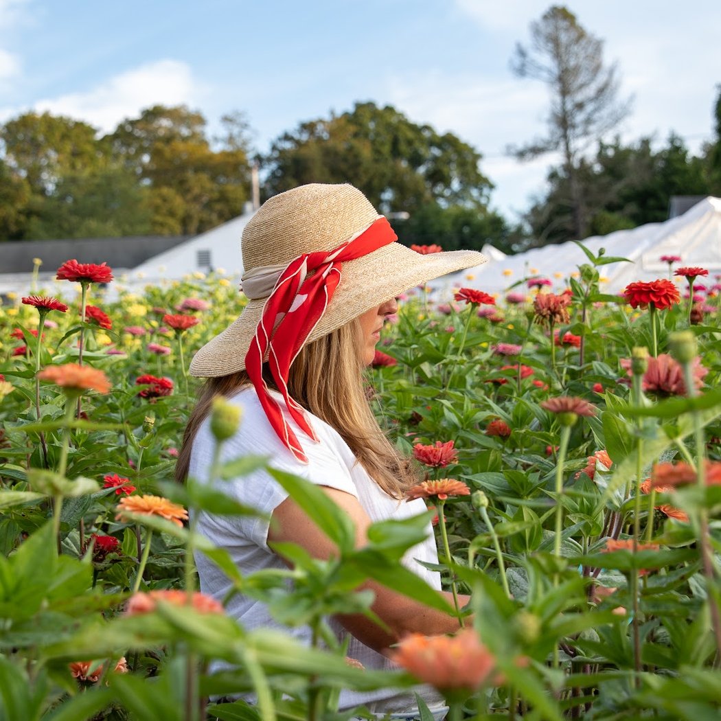 Honeybee Grove Flower Farm 1