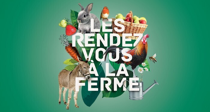 L’automne à la ferme