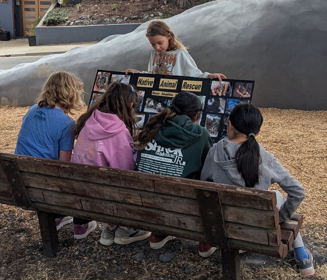 Biomimicry Summer Camp 1