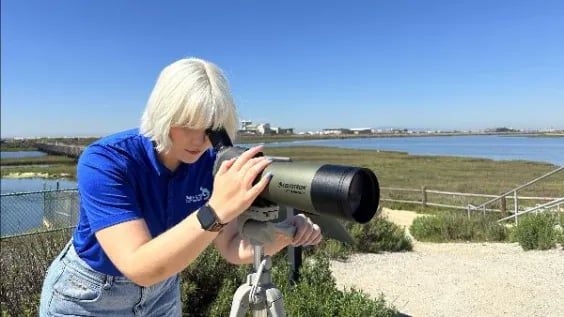 Sea Turtle Survey 1