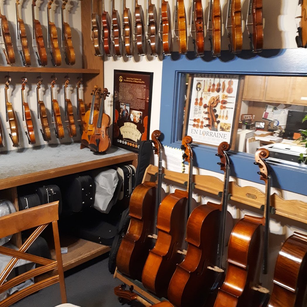 Kamimoto String Instruments 3