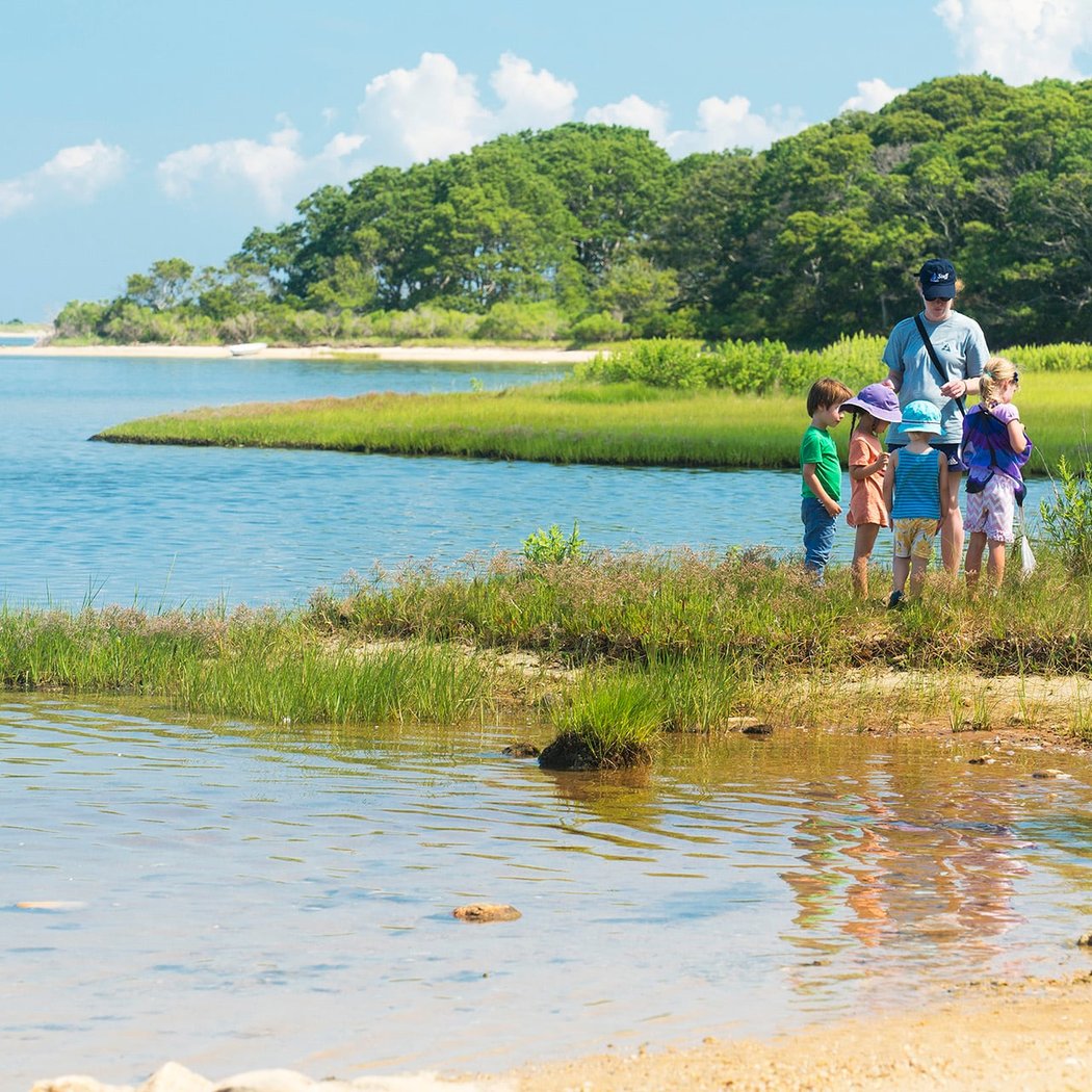 Seashore Discovery 2