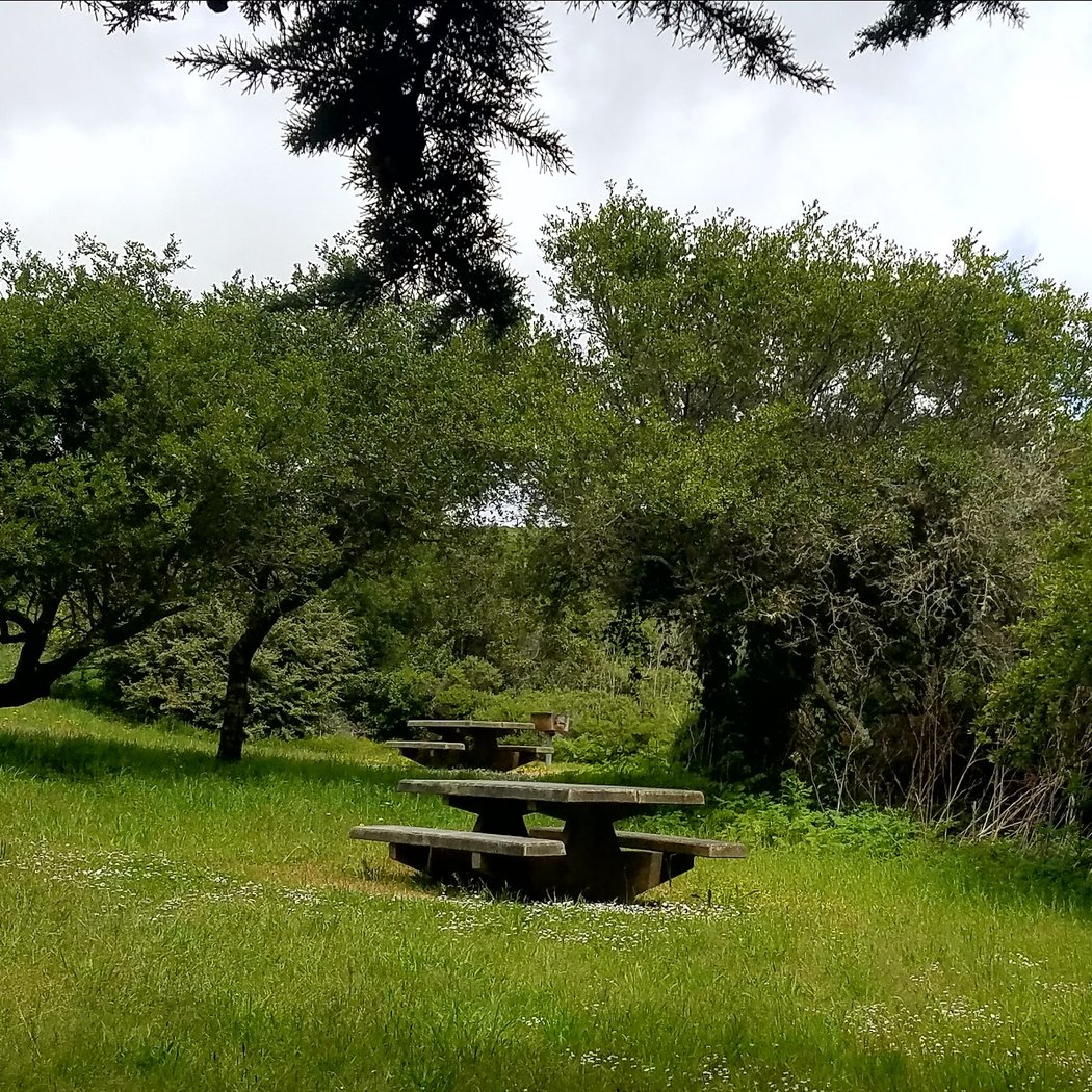 San Bruno Mountain Picnic Area 1