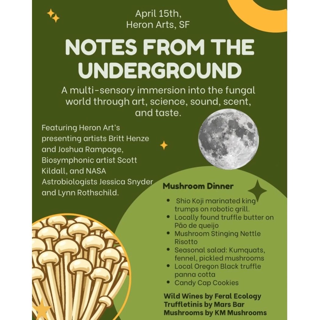 Notes from the Underground 1