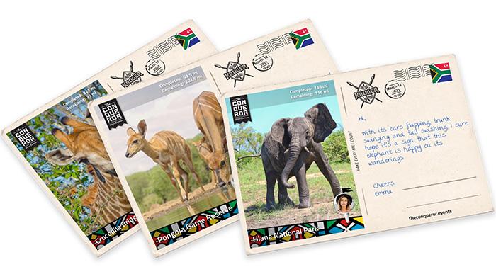 Kruger National Park 2