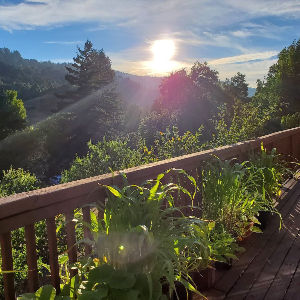 Lupin Lodge 1