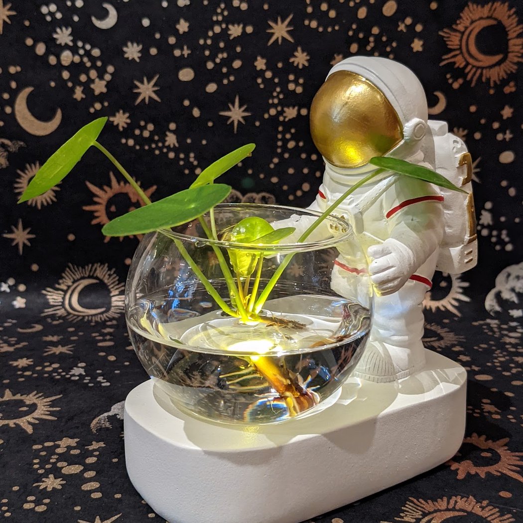 Planterday 1