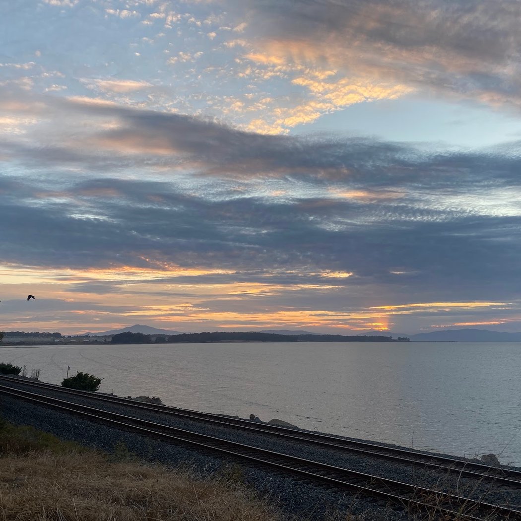 Pinole Shores Park 2