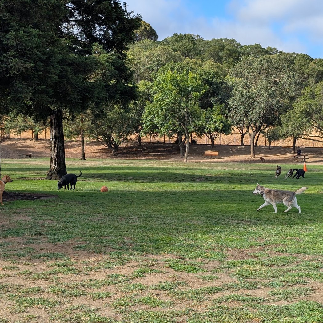 Paso Nogal Dog Park 1