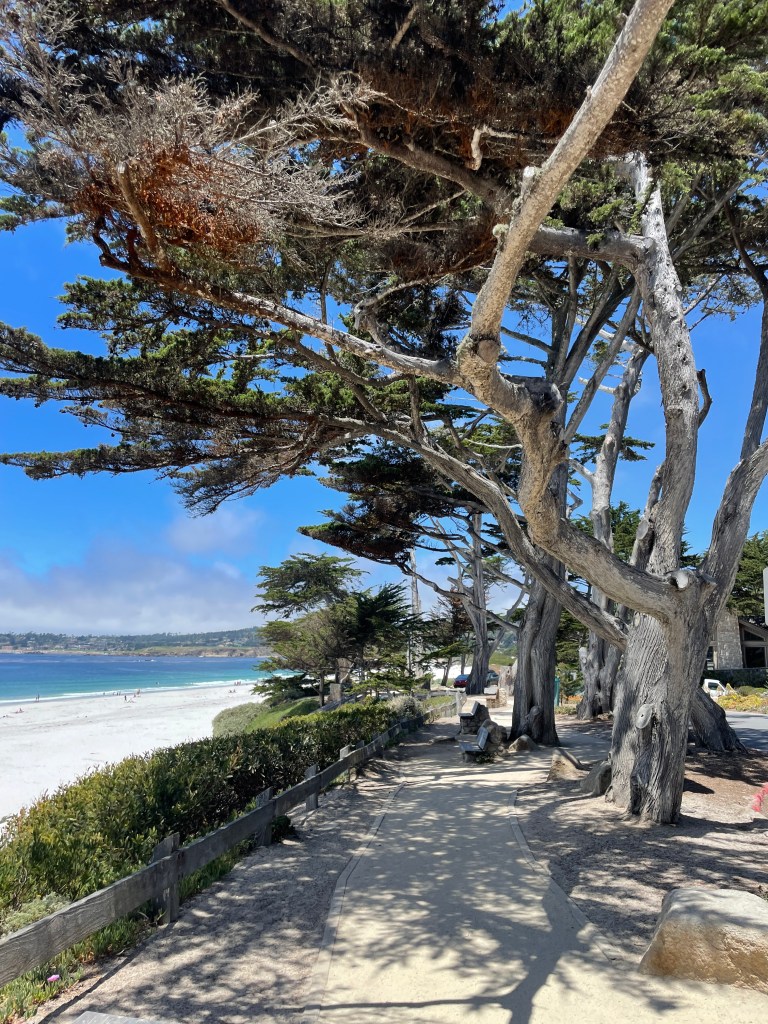 Carmel Beach 2