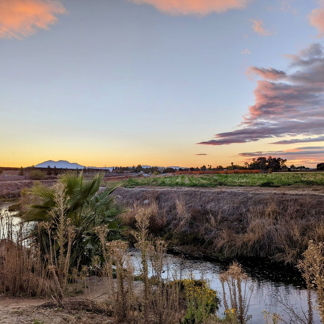 Delta De Anza Regional Trail 1