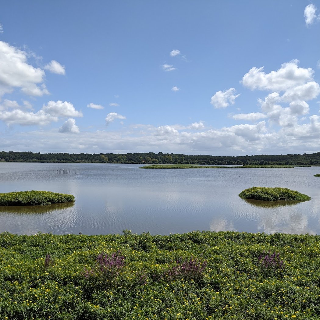 Réserve Naturelle Nationale du Marais d'Orx 2