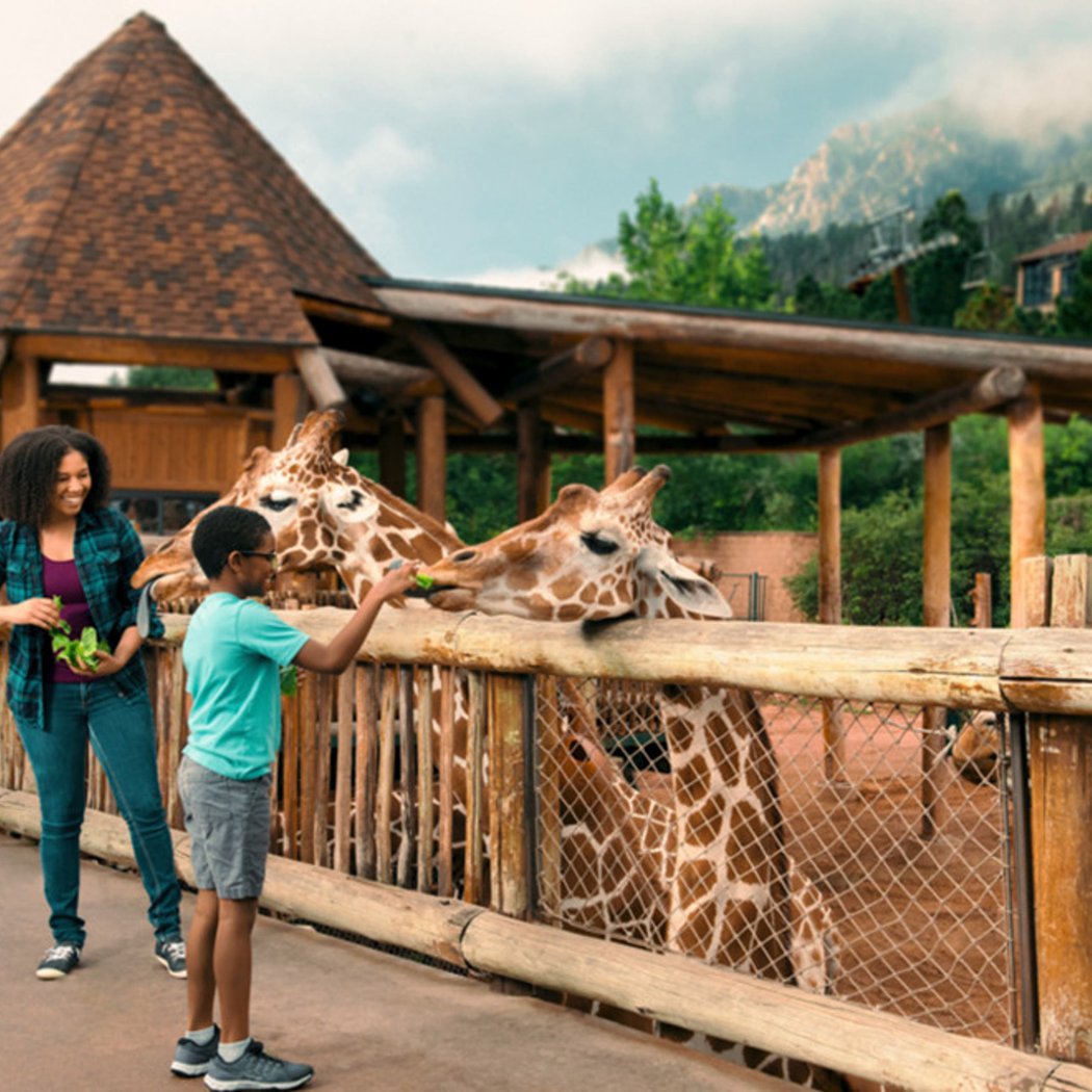 Cheyenne Mountain Zoo 1