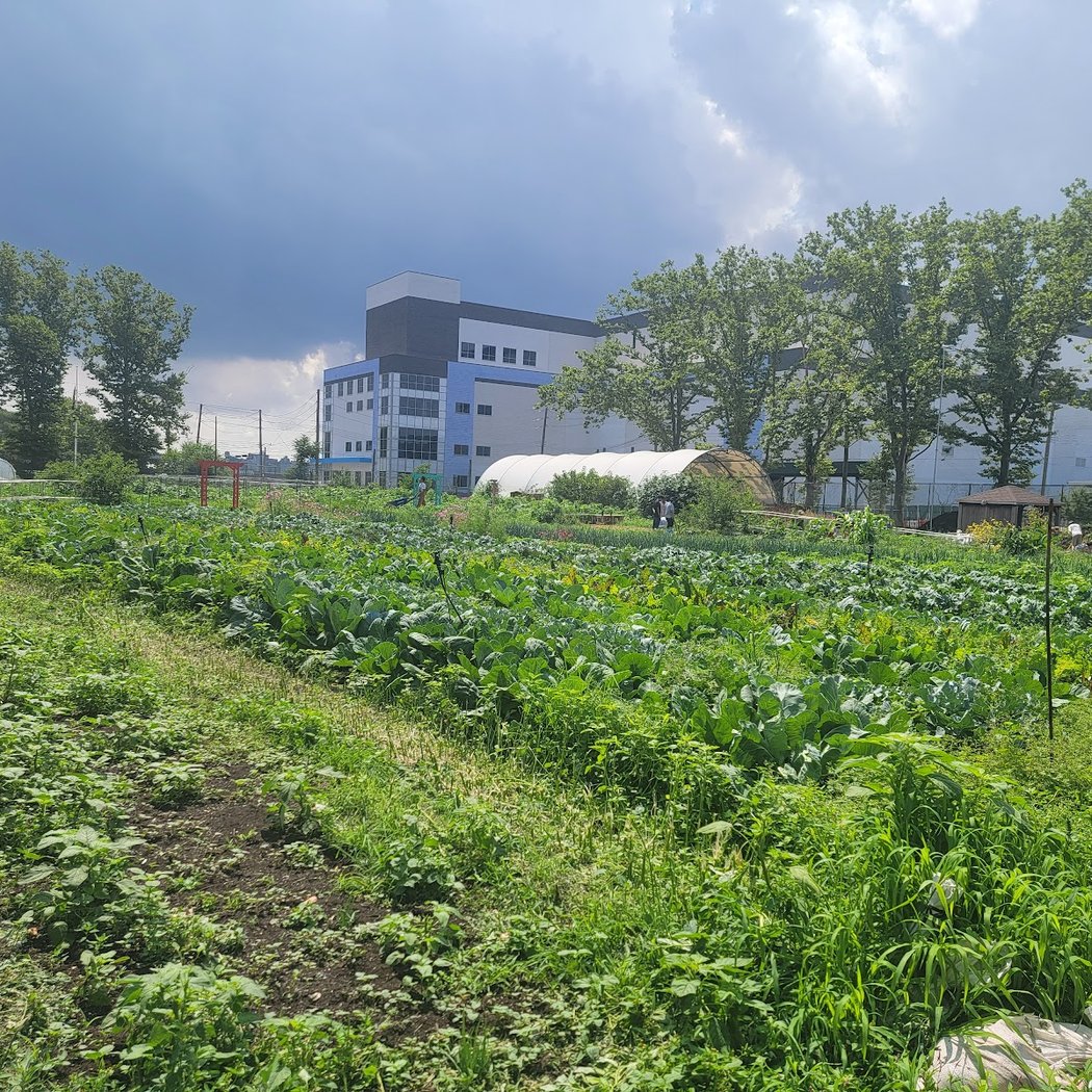Farm Work at Columbia Street Farm 3